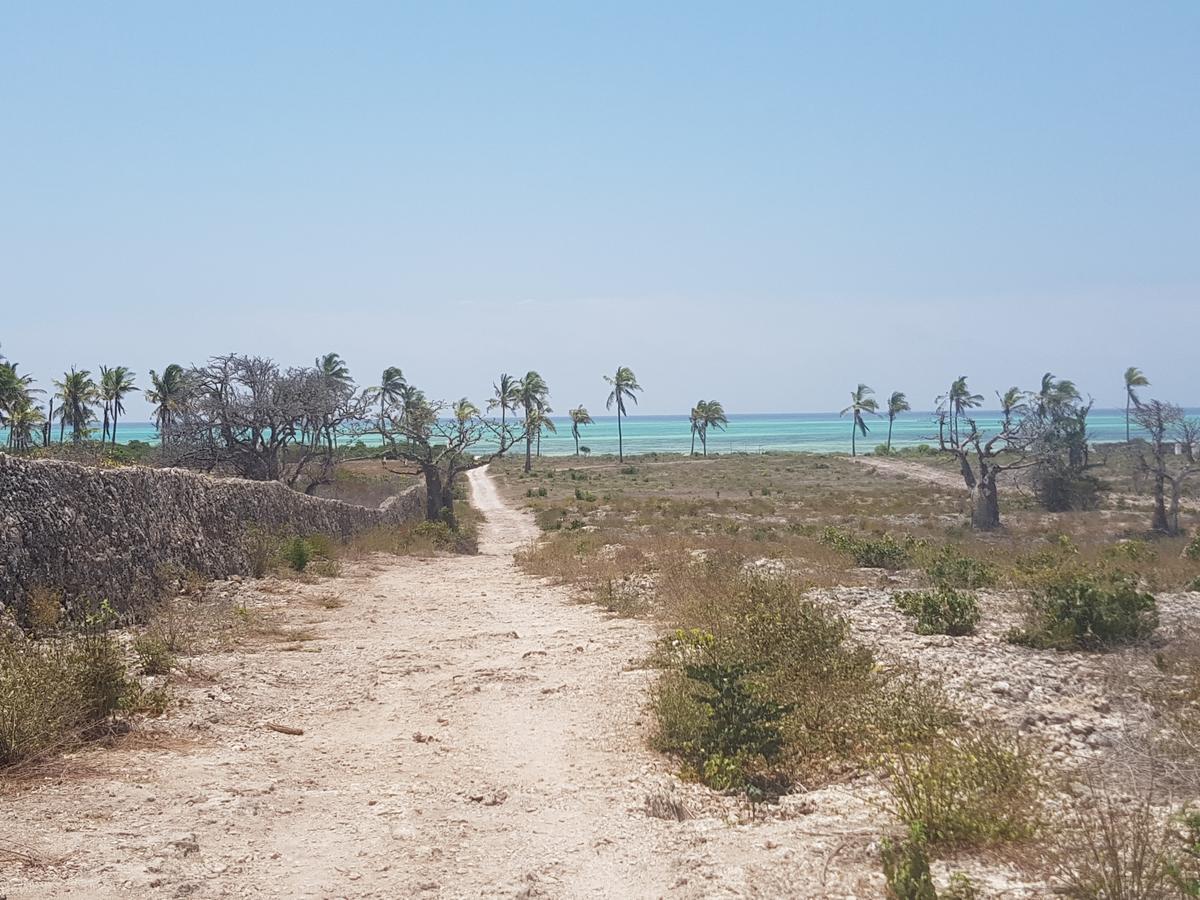 Nyumba Ya Afrika Bed and Breakfast Watamu Eksteriør billede